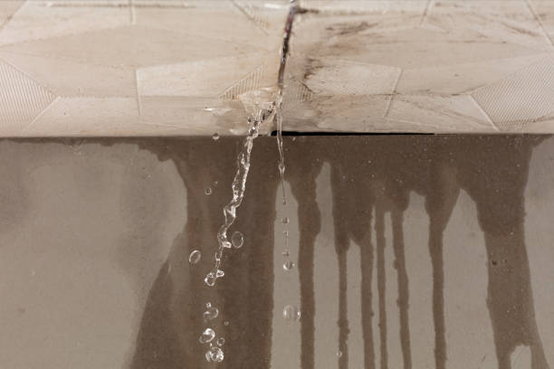 Professional Structural Drying technician working in Jerry City, OH